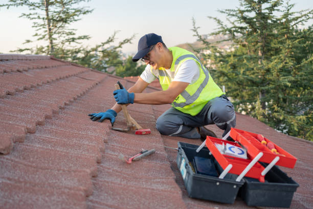 Best Metal Roofing Contractor  in Snyder, OK